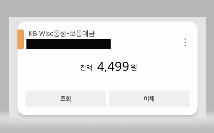 예산 설정으로 통장 잔고 지키기
